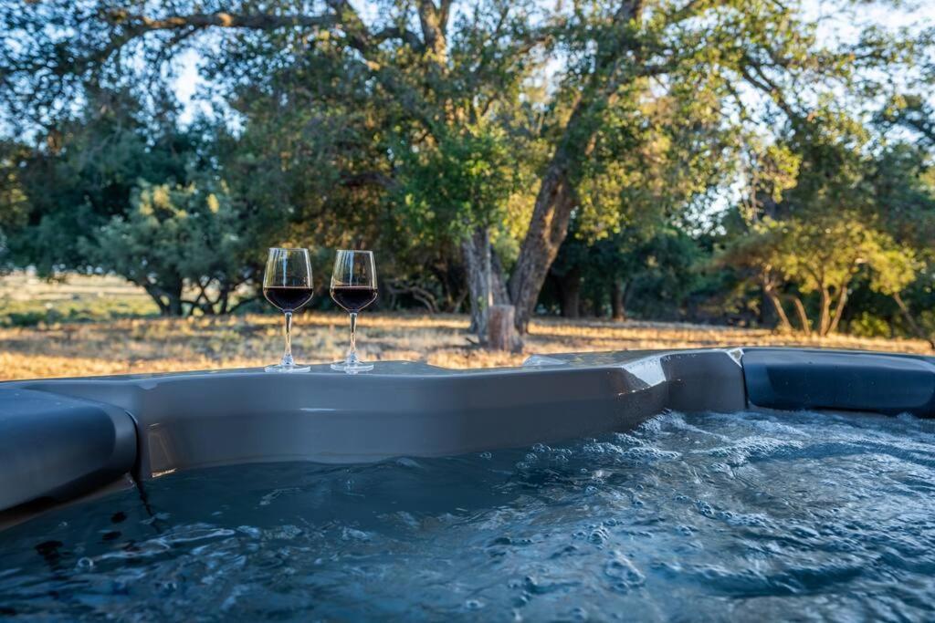 Country Cowboy Hot Tub Hideaway On 20 Acres Villa Borrego Springs Bagian luar foto